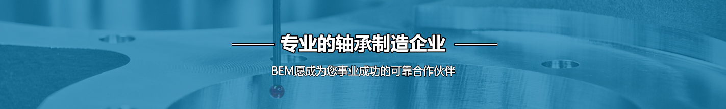 中軸集團(tuán)上海必姆軸承有限公司